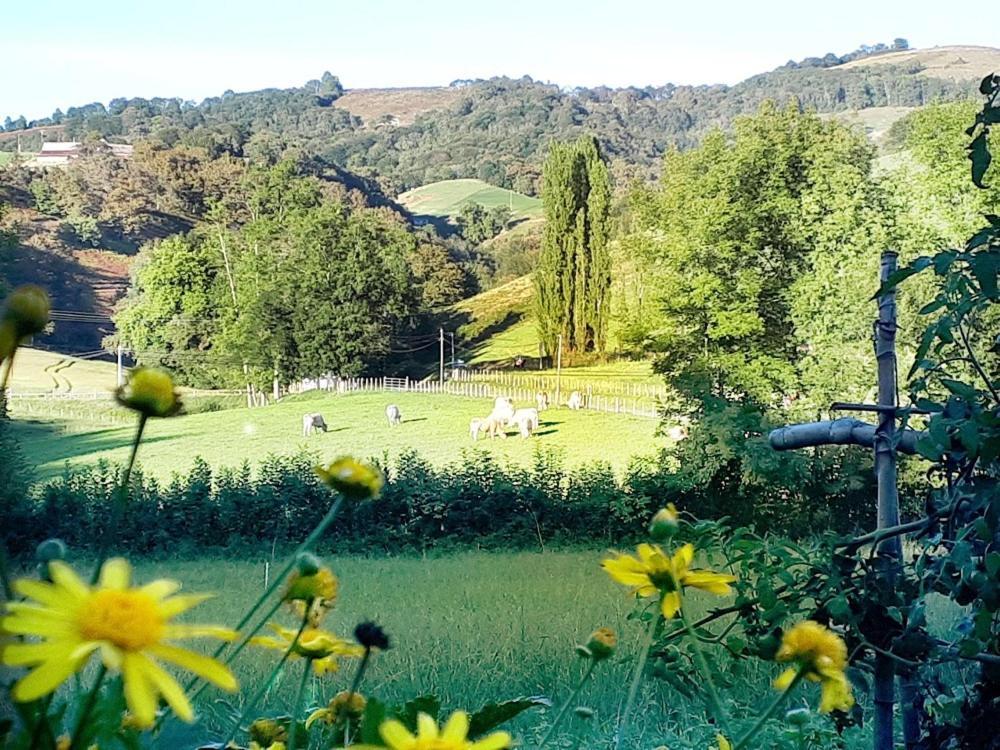 Cheraute "Chez Naty" Chambres D'Hotes Au Pays-Basque المظهر الخارجي الصورة